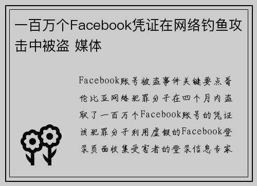 一百万个Facebook凭证在网络钓鱼攻击中被盗 媒体